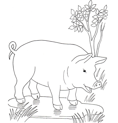 Pig In The Puddle Coloring Page